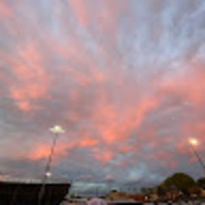 Meet your Posher, Ella